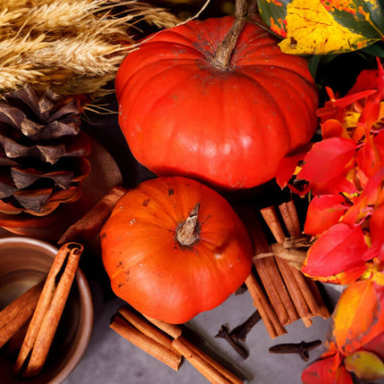 Seasonal Candle Pumpkin Spice. Shop best seasonal candle now