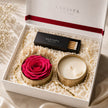 Luxury candle gift set featuring a preserved rose, handcrafted soy candle, premium matchbox and elegant white gift box by SaFiSpa New York, beautifully packaged for memorable gifting.