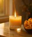 mango coconut soy scented candle  tropical fruit best candle. shop now