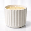 luxury citronella candle on white background with fresh citrus elements designed for outdoor mosquito repellent and home fragrance