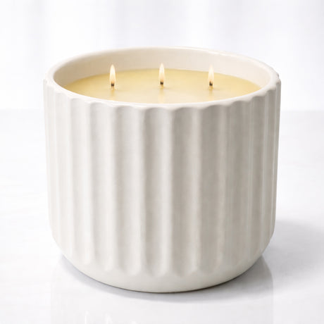 luxury citronella candle on white background with fresh citrus elements designed for outdoor mosquito repellent and home fragrance
