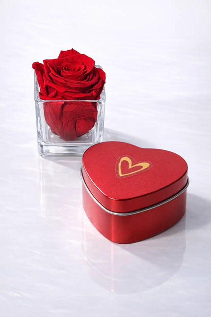 Red rose in a clear vase next to a red heart-shaped tin on a white background